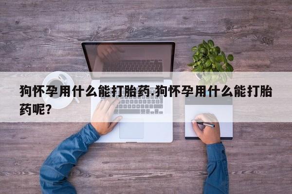 息隐紫竹打胎药流产药狗怀孕用什么能打胎药.狗怀孕用什么能打胎药呢？