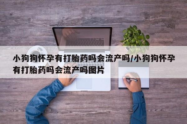 息隐紫竹打胎药流产药小狗狗怀孕有打胎药吗会流产吗/小狗狗怀孕有打胎药吗会流产吗图片
