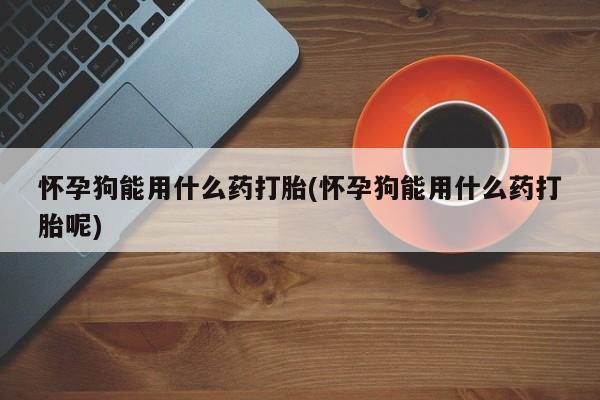 息隐紫竹打胎药流产药怀孕狗能用什么药打胎(怀孕狗能用什么药打胎呢)